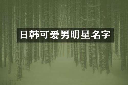 日韩可爱男明星名字