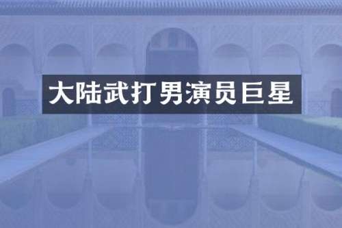 大陆武打男演员巨星