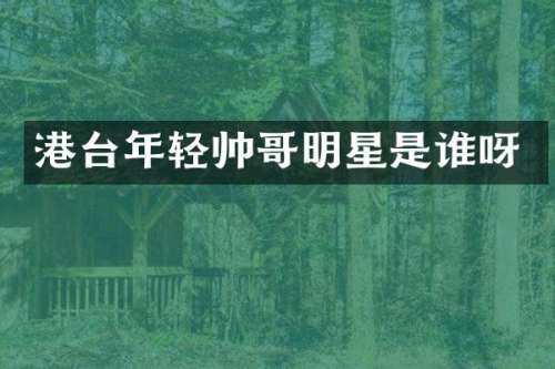 港台年轻帅哥明星是谁呀