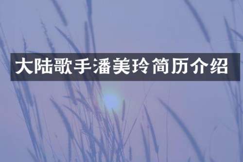 大陆歌手潘美玲简历介绍