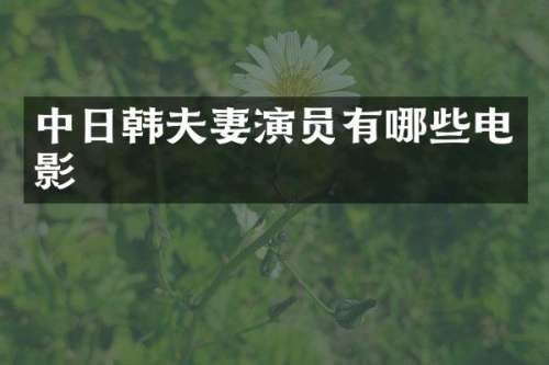 中日韩夫妻演员有哪些电影