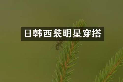 日韩西装明星穿搭