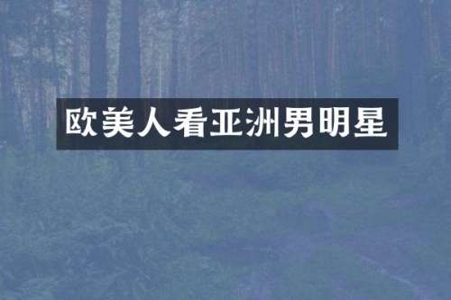 欧美人看亚洲男明星