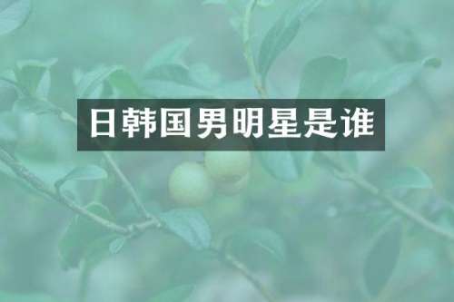 日韩国男明星是谁