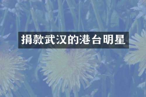 捐款武汉的港台明星