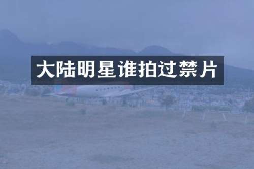 大陆明星谁拍过