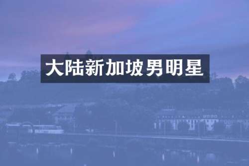 大陆新加坡男明星