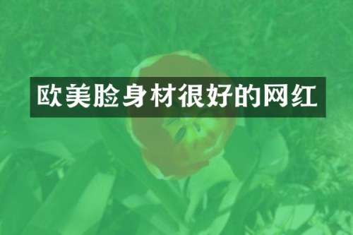 欧美脸身材很好的网红