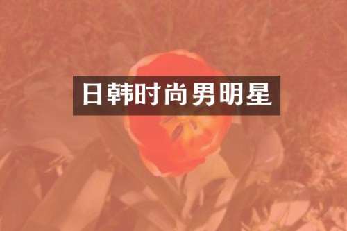 日韩时尚男明星