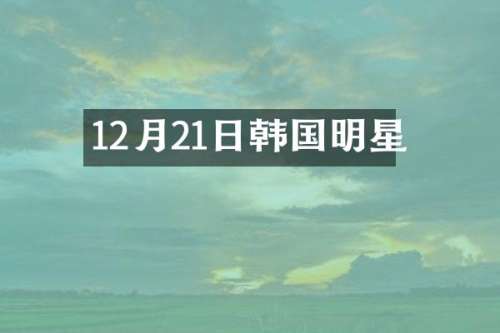 12月21日韩国明星