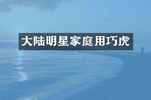 大陆明星家庭用巧虎