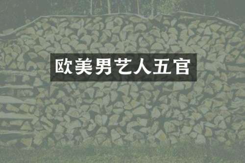 欧美男艺人五官