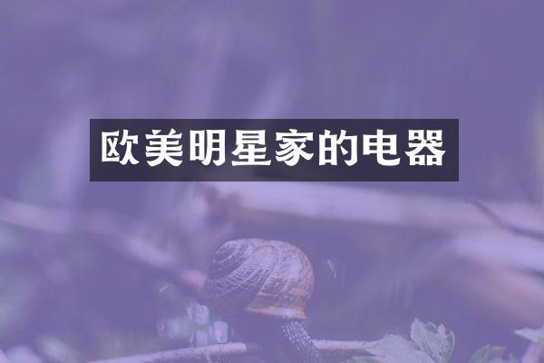欧美明星家的电器
