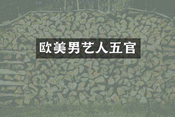 欧美男艺人五官