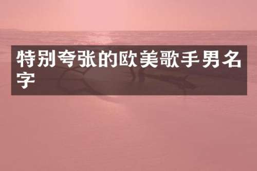 特别夸张的欧美歌手男名字