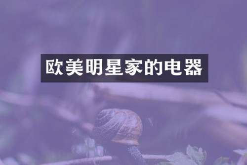 欧美明星家的电器