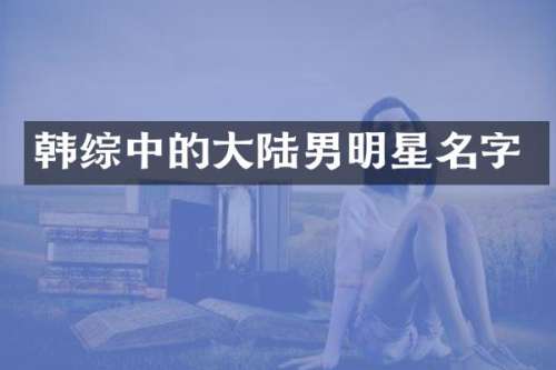 韩综中的大陆男明星名字