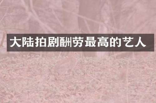 大陆拍剧酬劳最高的艺人