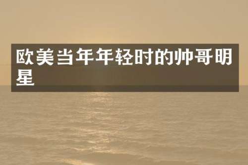 欧美当年年轻时的帅哥明星