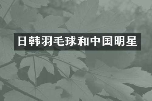 日韩羽毛球和中国明星