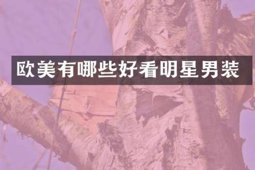 欧美有哪些好看明星男装