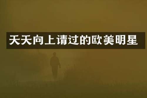 天天向上请过的欧美明星