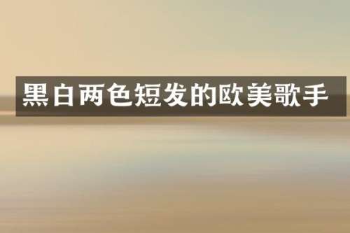 黑白两色短发的欧美歌手