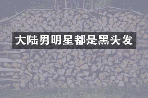 大陆男明星都是黑头发