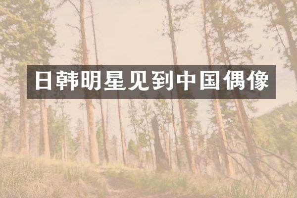 日韩明星见到中国偶像