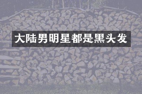 大陆男明星都是黑头发