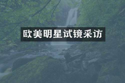 欧美明星试镜采访