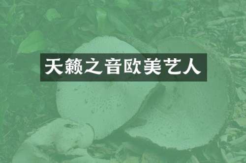 天籁之音欧美艺人