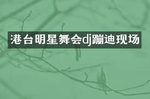 港台明星舞会dj蹦迪现场