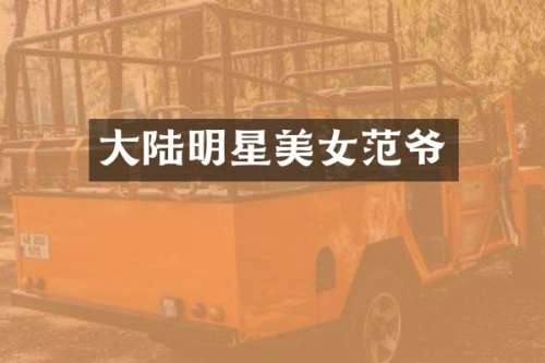 大陆明星范爷