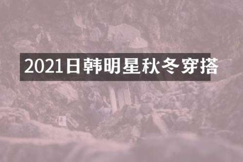 2021日韩明星秋冬穿搭