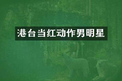 港台当红动作男明星