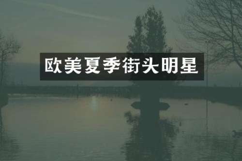 欧美夏季街头明星