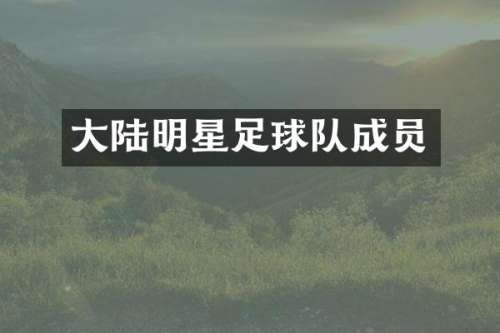 大陆明星足球队成员