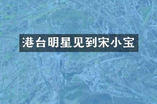 港台明星见到宋小宝