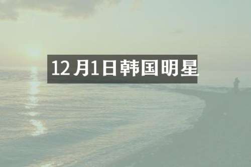 12月1日韩国明星