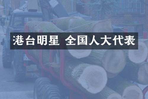 港台明星 全国人大代表