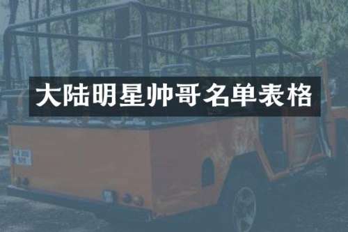 大陆明星帅哥名单表格