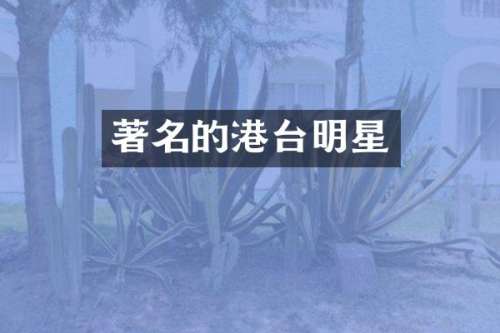 著名的港台明星
