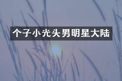 个子小光头男明星大陆