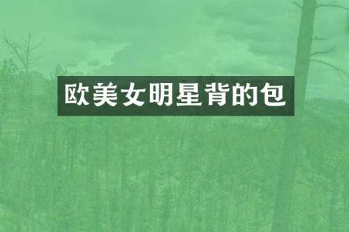 欧明星背的包