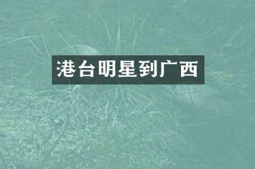 港台明星到广西