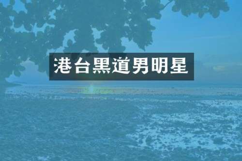港台黑道男明星