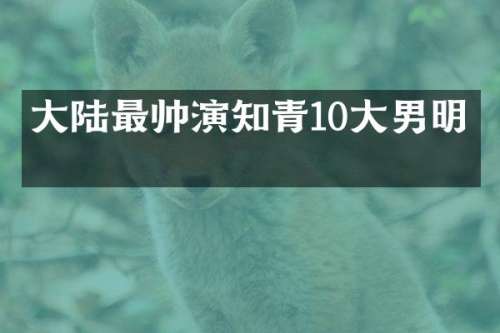 大陆最帅演知青10大男明星