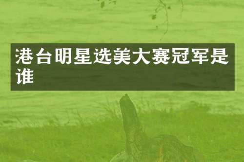 港台明星选美大赛冠军是谁