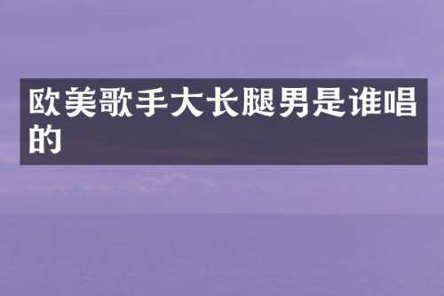欧美歌手大长腿男是谁唱的